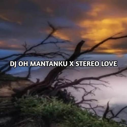 DJ OH MANTANKU X STEREO LOVE (Explicit)