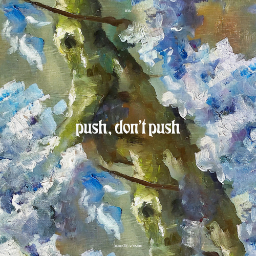 push, don't push (acoustic)