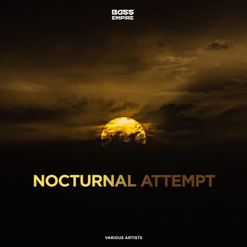 Nocturnal Attempt