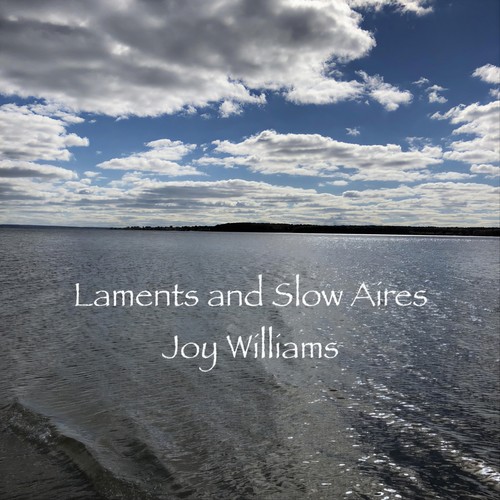 Laments and Slow Aires Joy Williams