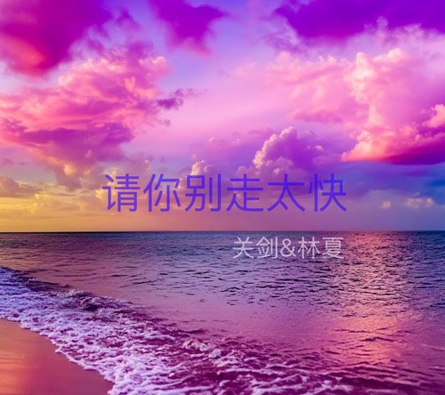 请你别走太快