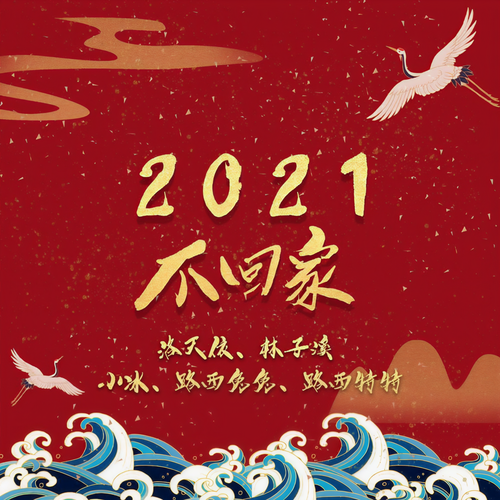 2021不回家