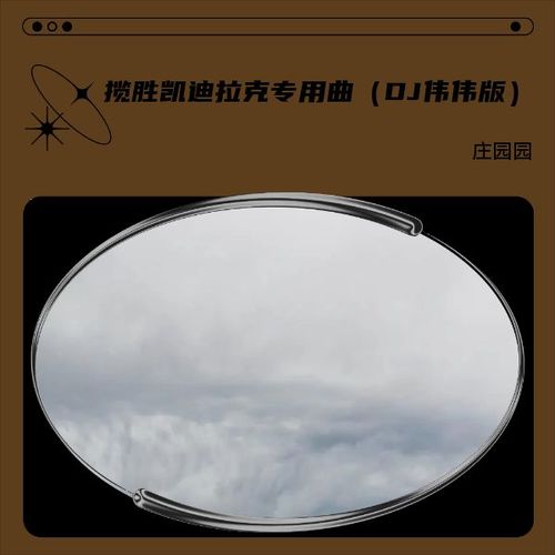 揽胜凯迪拉克专用曲（DJ伟伟版）