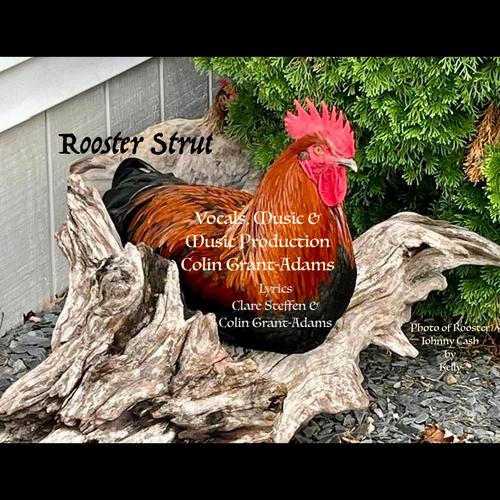 Rooster Strut (feat. Colin Grant-Adams)