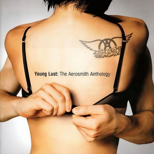 Young Lust: The Aerosmith Anthology