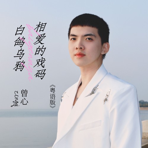 白鸽乌鸦相爱的戏码