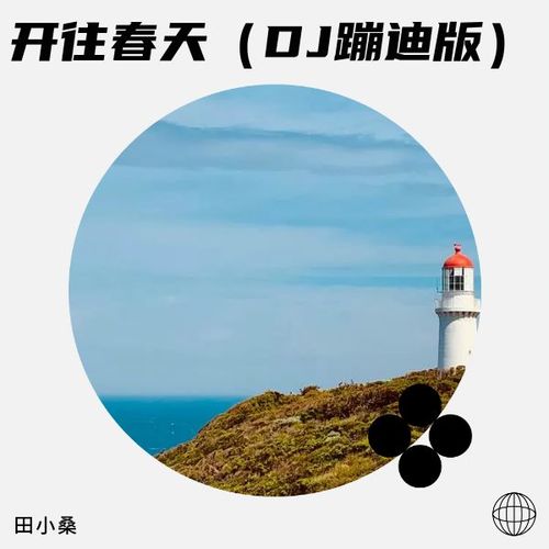 开往春天（DJ蹦迪版）
