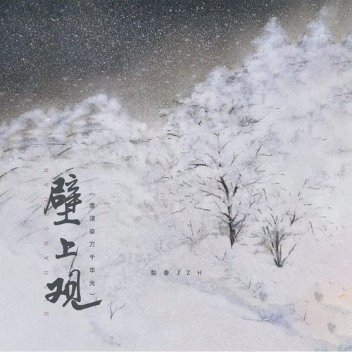 壁上观（雪浸染万千华光）