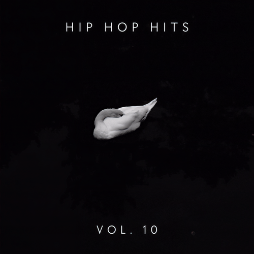 Hip Hop Hits Vol.10 (Explicit)