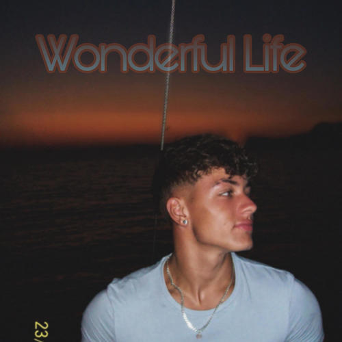 Wonderful Life (feat. Nvro) [Special Version]