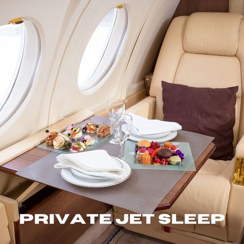 Private Jet Sleep