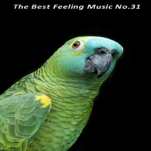 The Best Feeling Music No.31