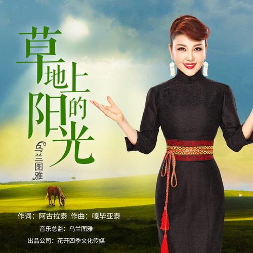 草地上的阳光