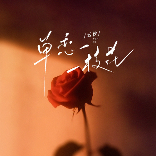 单恋一枝花