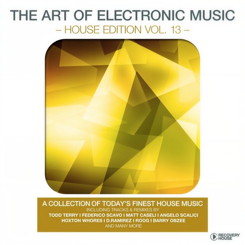 The Art of Electronic Music - House Edition, Vol. 13