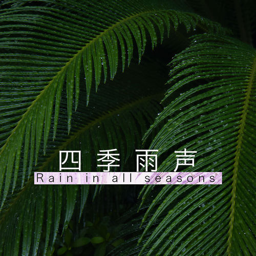 助眠 大自然 白噪音 减压 四季雨声