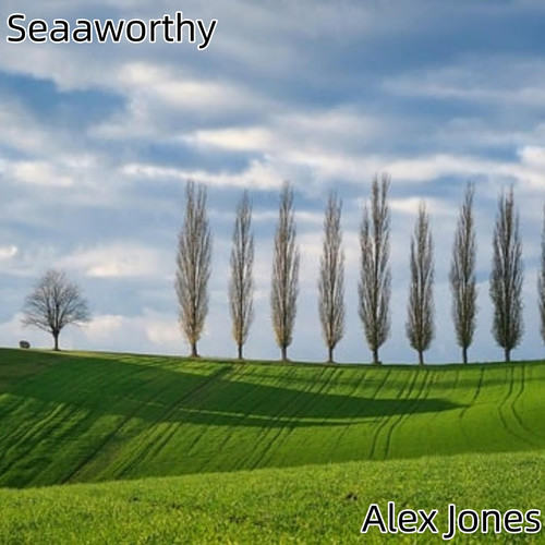 Seaaworthy