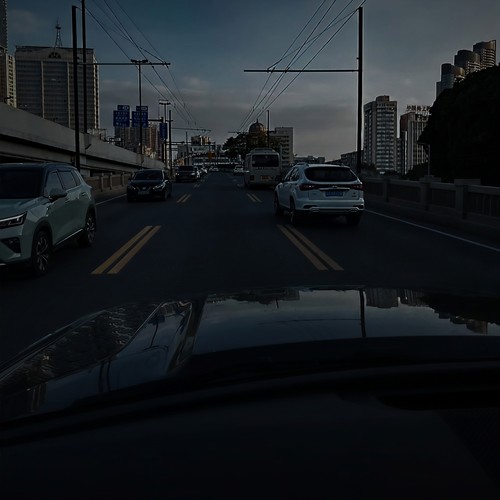 巴巴的贝（The Bass）