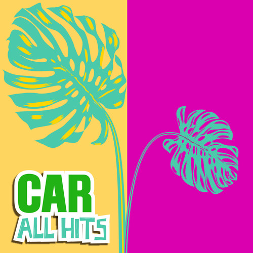 Car All Hits (Explicit)