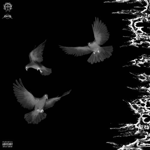 Groupie (feat. Hella Sketchy) [Explicit]