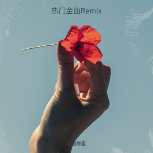 热门金曲Remix