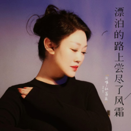 漂泊的路上尝尽了风霜
