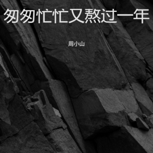 匆匆忙忙又熬过一年