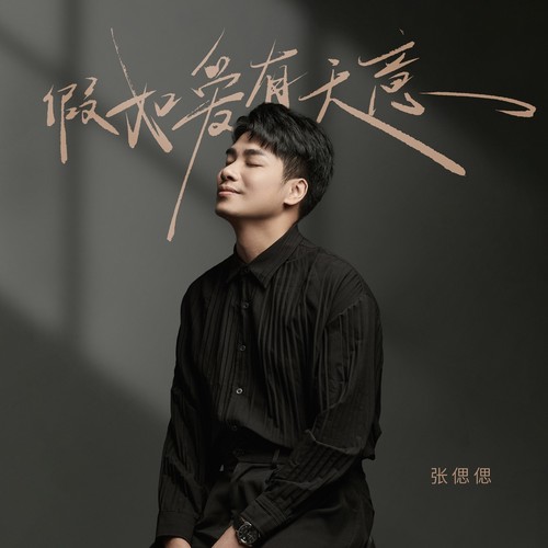 假如爱有天意