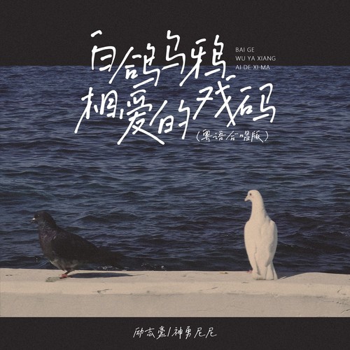 白鸽乌鸦相爱的戏码