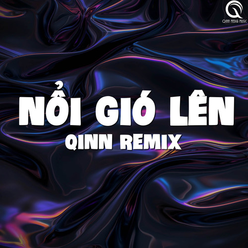 Nổi Gió Lên (Qinn Remix)