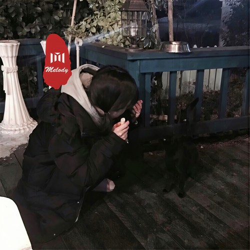 三巡