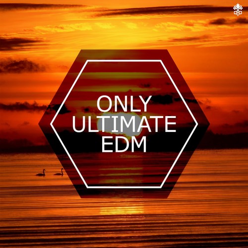 Only Ultimate EDM