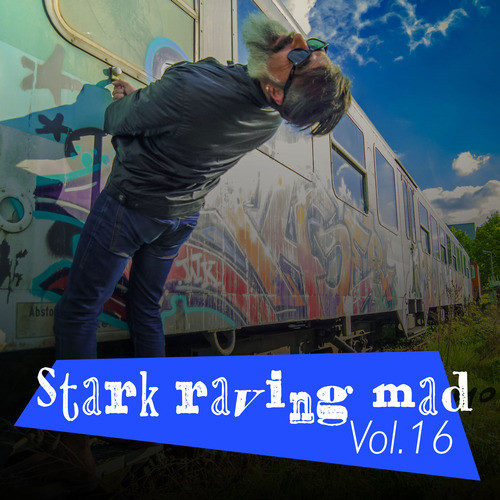 Stark Raving Mad, Vol. 16 (Explicit)