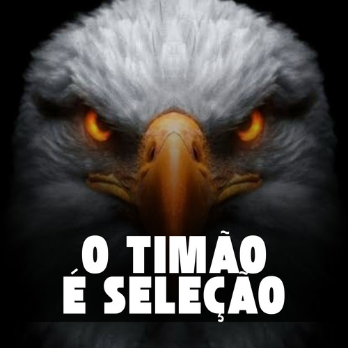 O TIMÃO É SELEÇÃO