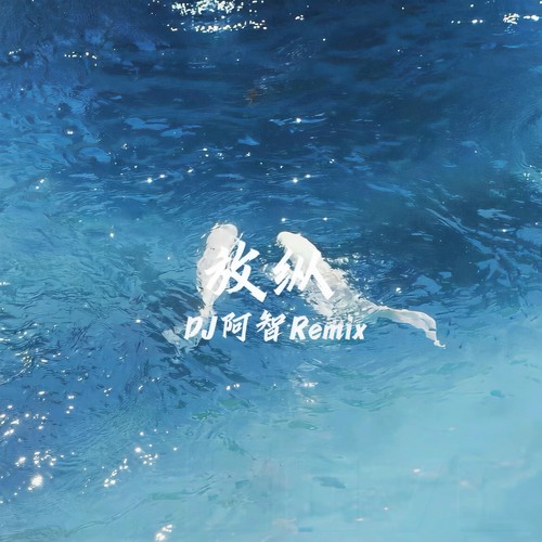 放纵 (DJ阿智Remix)