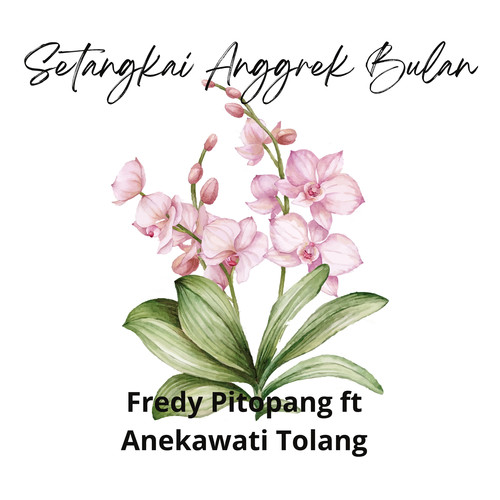 Setangkai Anggrek Bulan