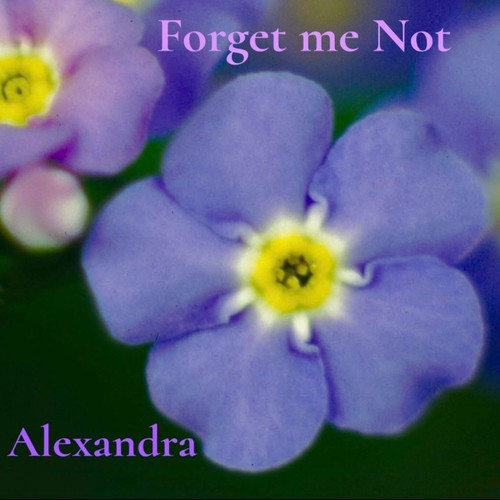 Forget Me Not