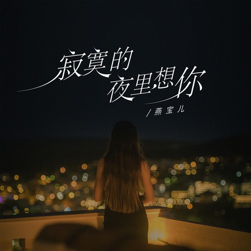 寂寞的夜里想你