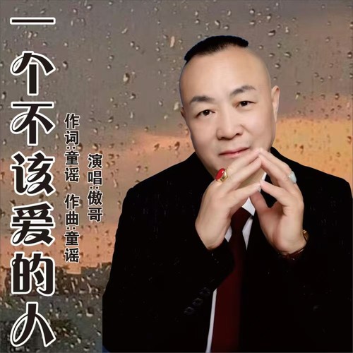 一个不该爱的人