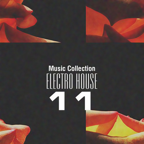 Music Collection. Electro House, Vol. 11