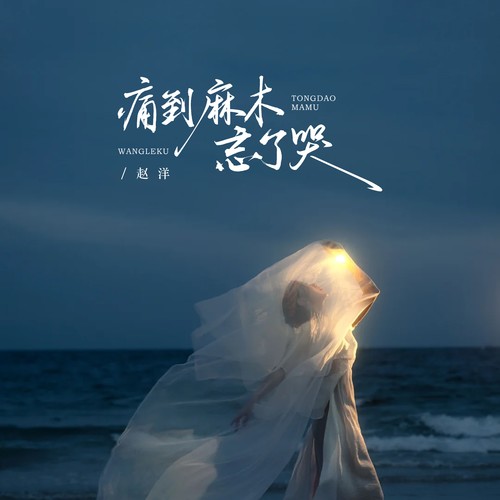 痛到麻木忘了哭