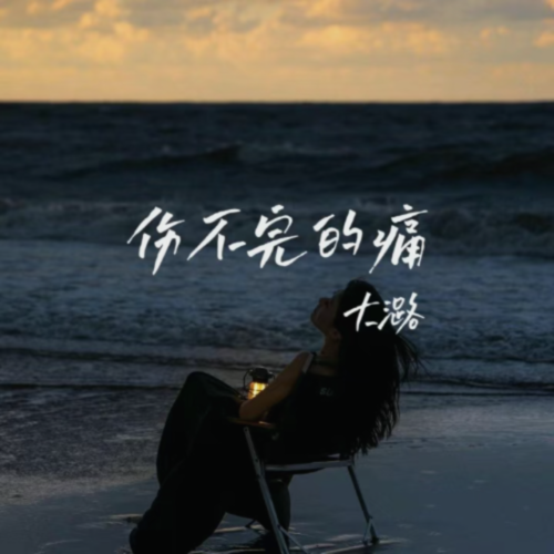 伤不完的痛DJ版