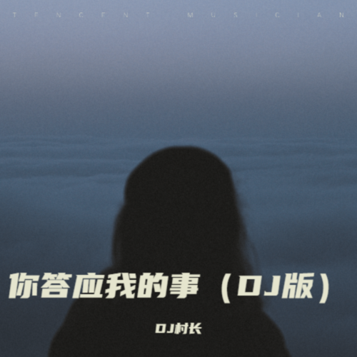 你答应我的事（DJ陕西版）