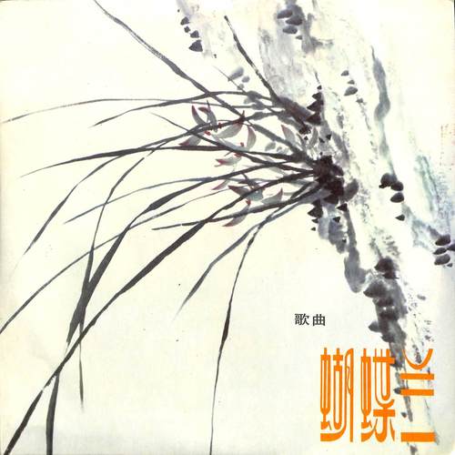 蝴蝶兰