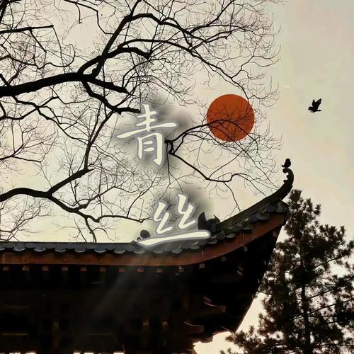 青丝DJ版 (热播)