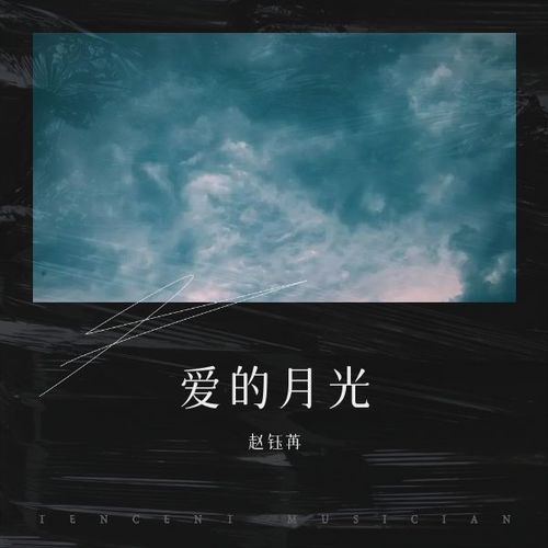 爱的月光