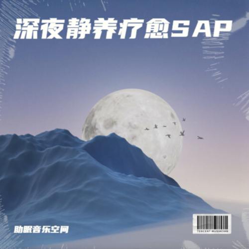 深夜静养疗愈SAP