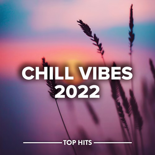 Chill Vibes 2022 (Explicit)