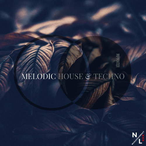 Melodic House & Techno Vol 01