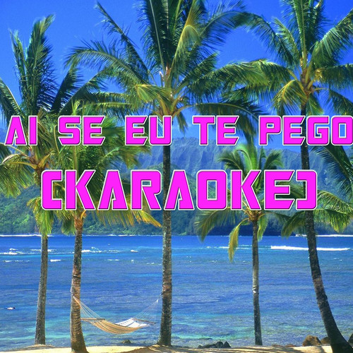 Ai Se Eu Te Pego (In the Style of Michel Teló) (Karaoke)